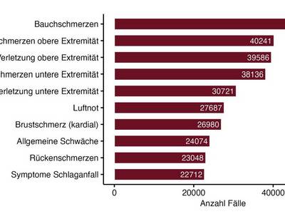 abb. 10 häufigste vorstellungsgründe nach cedis pcl in den aktin notaufnahmen